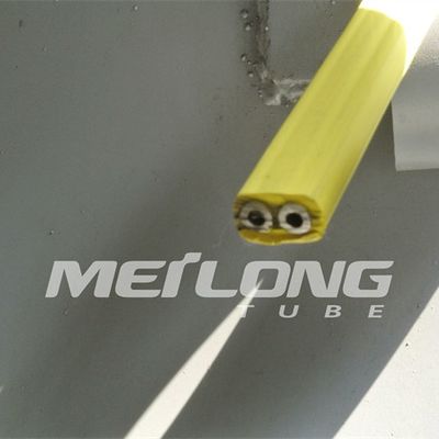 Ingekapselde de Controlelijn Flatpack van TP316L PVDF met Twee Buizenhoge druk