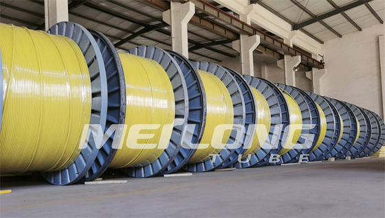Van UNS het S32750 Ingekapselde Super Duplex 2507 Rilsan Nylon van de Controlelijn