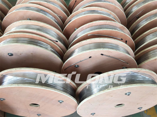 Onthard Downhole Haarvat Gerold Buizenstelsel met Metalen kapmontage 1 Roestvrije Rol 2