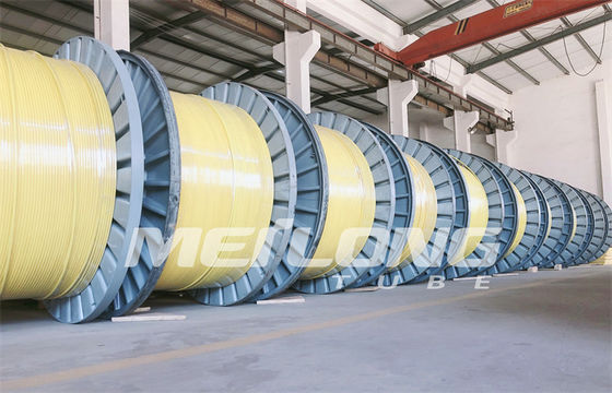PVDF 12000M Encapsulated Control Line om Rechthoekig Haarvat Gerold Buizenstelsel