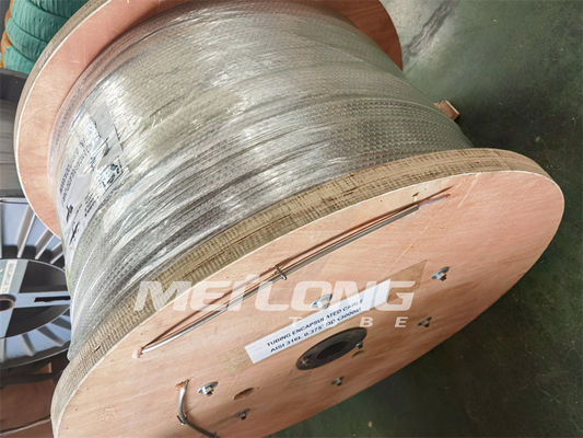 316L ingekapselde Kabelbuizenstelsel Ingekapselde Leider For Down Hole