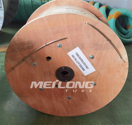 Incoloy 825 Buizenstelsel Ingekapseld Kabel20awg FEP Jasje