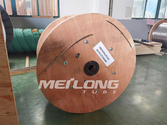Legeringsbuizenstelsel 6000M Encapsulated Cable Tubing Ingekapselde Leider