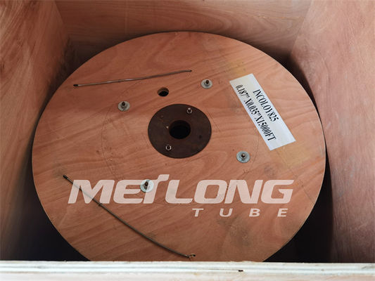 SS Dun Roestvrij staal Hydraulisch Buizenstelsel - ommuurd Haarvat Eddy Current Tested Annealed